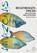Regenbogenfische, Heinrich Gewinner - Paperback - 9783866591547