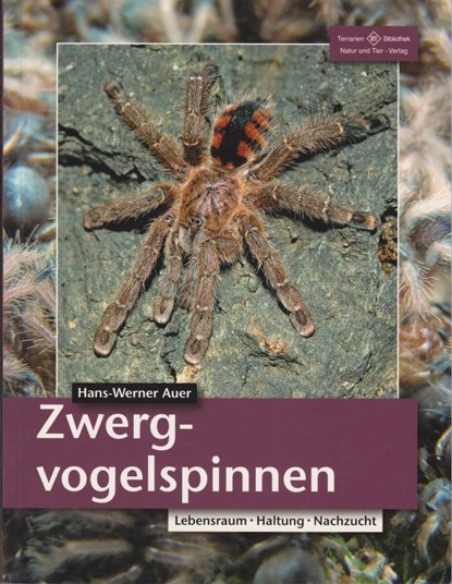 Zwergvogelspinnen, Hans-Werner Auer - Paperback - 9783866591646