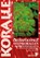 Großpolypige Steinkorallen, Dieter Brockmann - Paperback - 9783866591677
