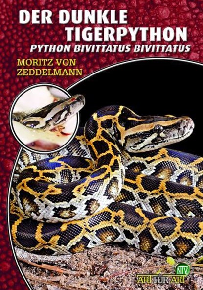 Der dunkle Tigerpython, Moritz von Zeddelmann - Paperback - 9783866592261