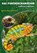 Das Pantherchamäleon, David Hellendrung - Paperback - 9783866592308