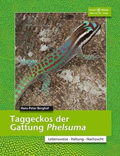 TAGGECKOS DER GATTUNG PHELSUMA, Hans-Peter Berghof - Paperback - 9783866592407