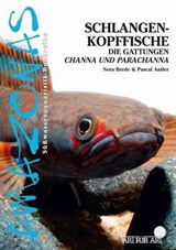 Schlangenkopffische - Nora Brede ; Pascal Antler - 9783866593138