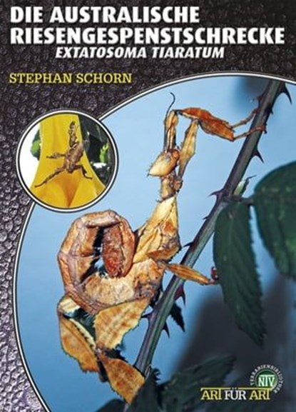 Die Australische Riesengespenstschrecke, Stephan Schorn - Ebook - 9783866593480