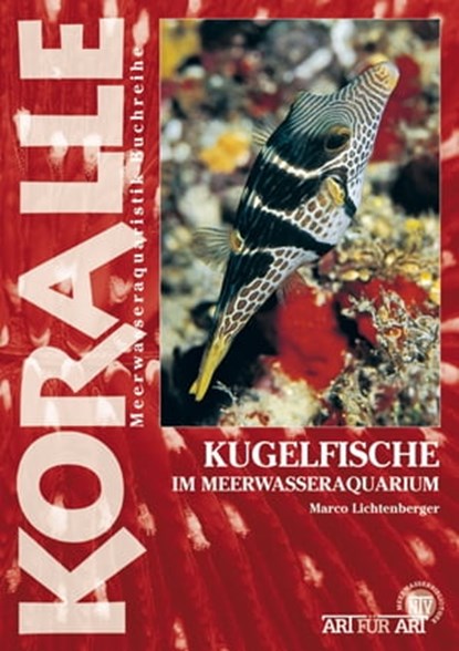 Kugelfische im Meerwasseraquarium, Marco Lichtenberger - Ebook - 9783866593541