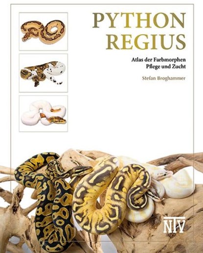 Python regius, Stefan Broghammer - Gebonden - 9783866594036