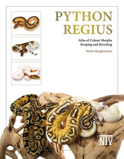 Python regius, Stefan Broghammer - Gebonden - 9783866594043