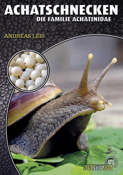 Achatschnecken, Andreas Leiß - Paperback - 9783866594753