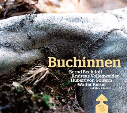 Buchinnen, Hubert von Goisern ; Walter Keiser ; Bernd Bechtloff ; Andreas Vollenweider - Gebonden - 9783866630550