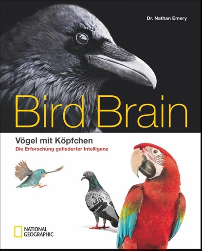 Bird Brain, Nathan Emery - Gebonden - 9783866906242