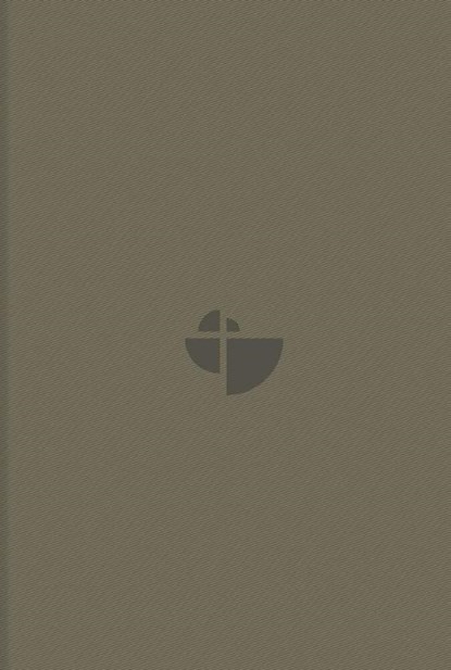 Schlachter 2000 Bibel - Taschenausgabe (PU-Einband, sandfarben, blauer Farbschnitt), niet bekend - Paperback - 9783866990326