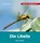 Die Libelle, Veronika Straaß - Gebonden - 9783867607667