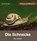 Die Schnecke, Veronika Straaß - Gebonden - 9783867607681