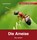 Die Ameise, Veronika Straaß - Gebonden - 9783867607698