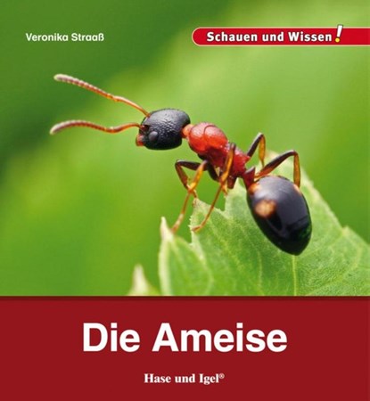 Die Ameise, Veronika Straaß - Gebonden - 9783867607698