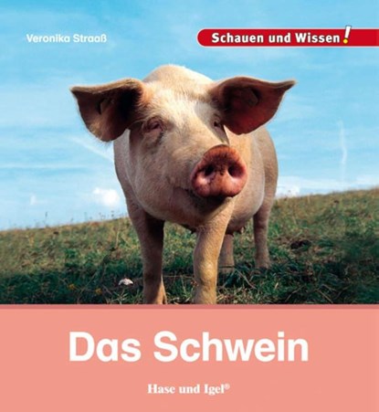Das Schwein, Veronika Straaß - Gebonden - 9783867607858