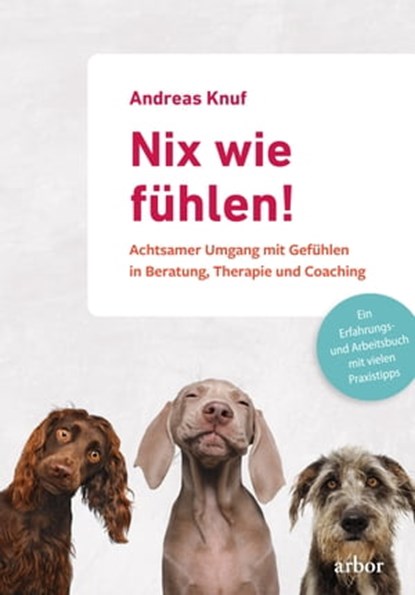 Nix wie fühlen!, Andreas Knuf - Ebook - 9783867813945