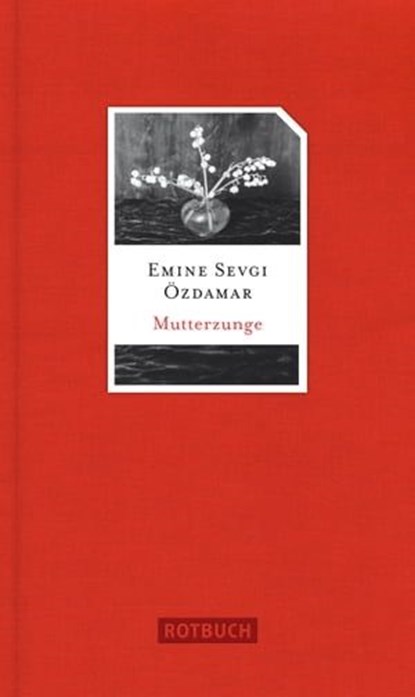 Mutterzunge, Emine Sevgi Özdamar - Ebook - 9783867895484