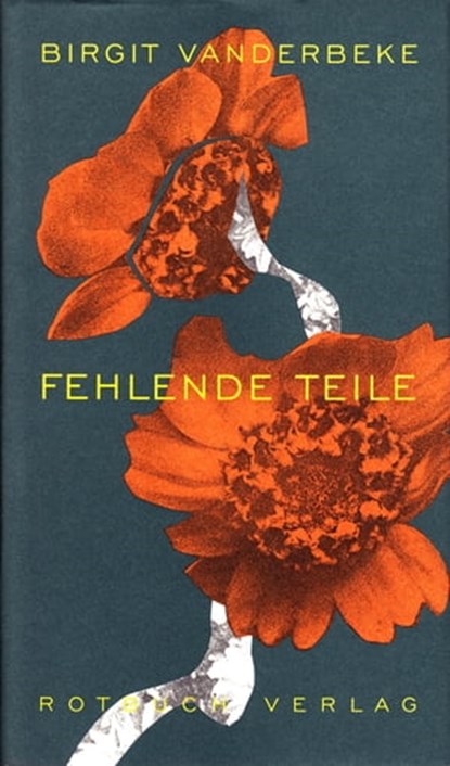 Fehlende Teile, Birgit Vanderbeke - Ebook - 9783867895651