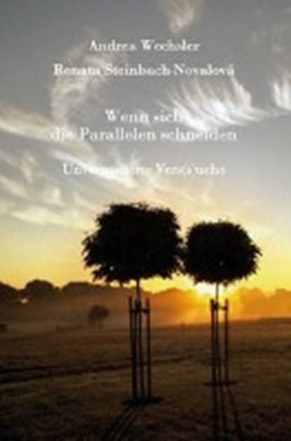 Wenn sich die Parallelen schneiden, WECHSLER,  Andrea ; Steinbach-Novalová, Renata - Paperback - 9783868704266