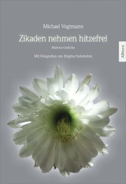 Zikaden nehmen hitzefrei, Michael Vogtmann - Ebook - 9783869065892