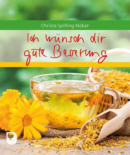 Ich wünsch dir gute Besserung, Christa Spilling-Nöker - Gebonden - 9783869177854