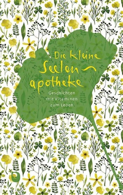 Die kleine Seelenapotheke, niet bekend - Gebonden - 9783869179797