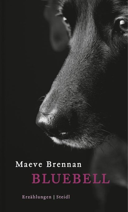 Bluebell, Maeve Brennan - Gebonden - 9783869306643