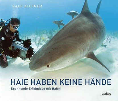 Haie haben keine Hände - Spannende Erlebnisse mit Haien, Ralf Kiefner - Gebonden - 9783869354279