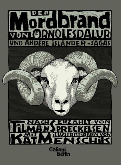 Der Mordbrand von Örnolfsdalur und andere Isländer Sagas, Tilman Spreckelsen - Gebonden - 9783869710464
