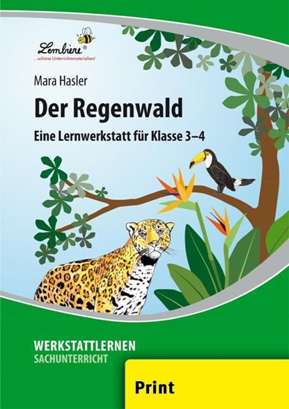 Der Regenwald (PR), Mara Hasler - Losbladig - 9783869988139
