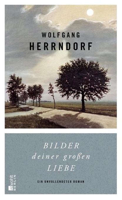 Bilder deiner großen Liebe, Wolfgang Herrndorf - Gebonden - 9783871347917