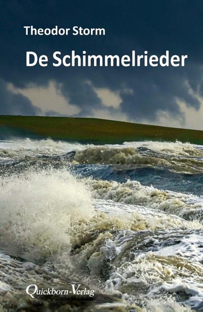 De Schimmelrieder, Theodor Storm - Paperback - 9783876515243