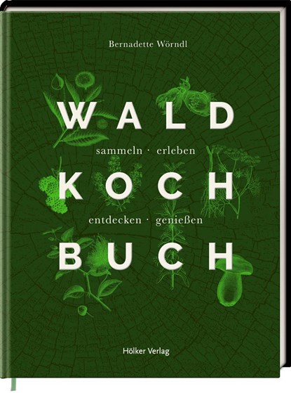Das Wald-Kochbuch, Bernadette Wörndl - Gebonden - 9783881172295