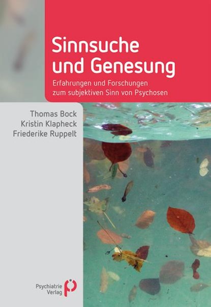 Sinnsuche und Genesung, Thomas Bock ;  Kristin Klapheck ;  Friederike Ruppelt - Paperback - 9783884145777