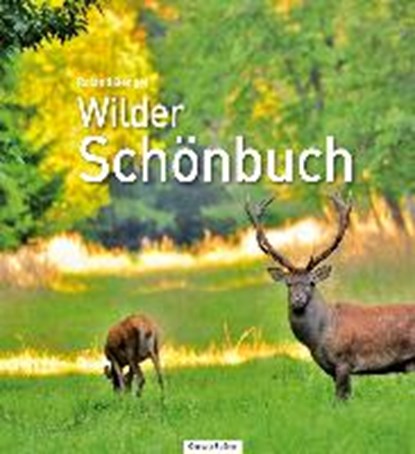 Bengel, R: Wilder Schönbuch, BENGEL,  Roland - Paperback - 9783886273430