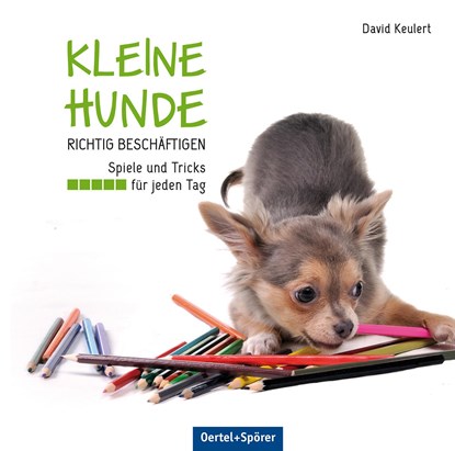Kleine Hunde richtig beschäftigen, David Keulert - Gebonden - 9783886278640