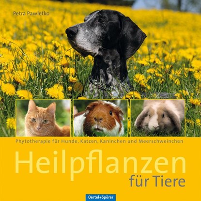 Heilpflanzen für Tiere, Petra Pawletko - Paperback - 9783886279098