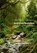 Waldverbunden, Andrea Wichterich - Paperback - 9783890607429