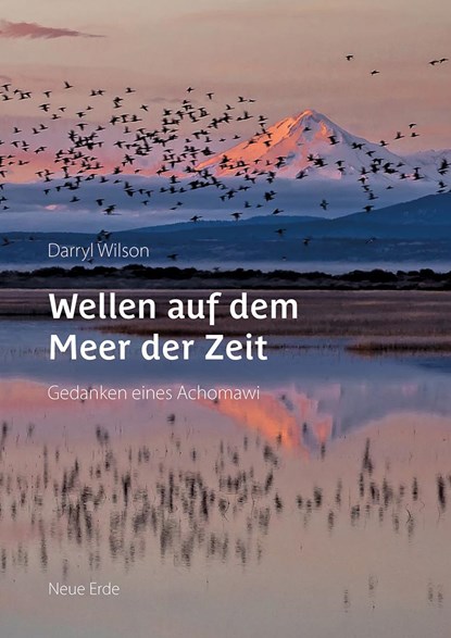 Wellen auf dem Meer der Zeit, Darryl Wilson - Paperback - 9783890608433