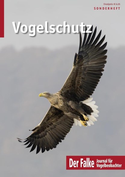 Vogelschutz, AULA-Verlag/Falke Redaktion - Paperback - 9783891048696
