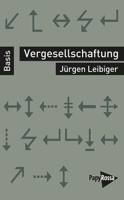 Vergesellschaftung, Jürgen Leibiger - Paperback - 9783894388485