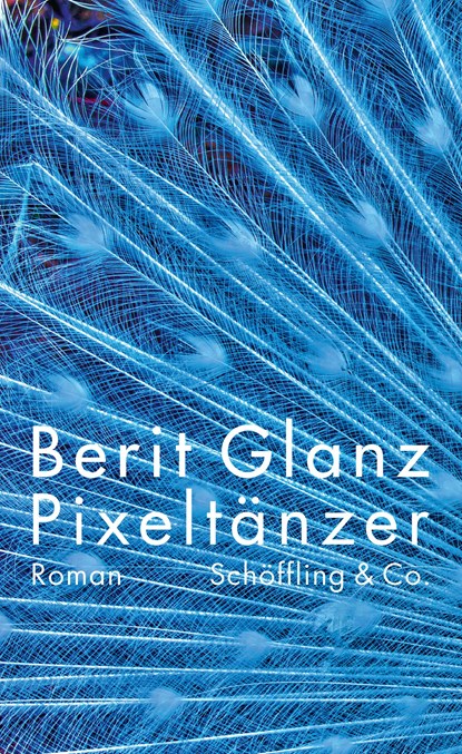 Pixeltänzer, Berit Glanz - Gebonden - 9783895611926