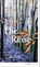 Die Reise, Ida Fink - Gebonden - 9783895615092