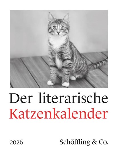 Der literarische Katzenkalender 2026, Julia Bachstein - Paperback - 9783895617607