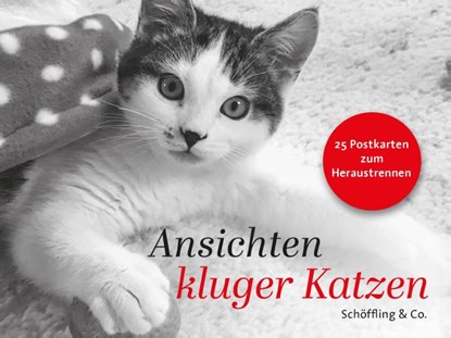 Ansichten kluger Katzen, Julia Bachstein - Paperback - 9783895617645