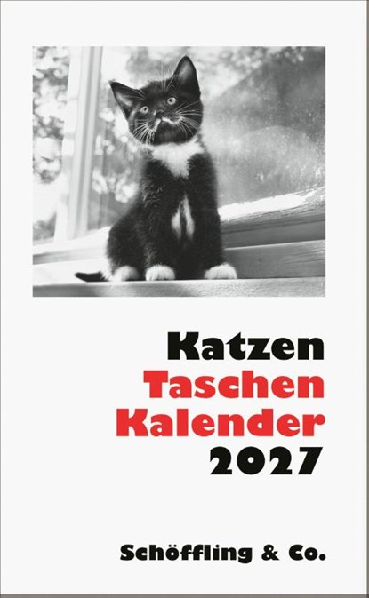 Katzen Taschenkalender 2027, Julia Bachstein - Paperback - 9783895617676