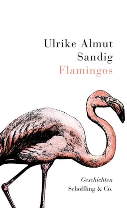 Flamingos, Ulrike Almut Sandig - Ebook - 9783895618673