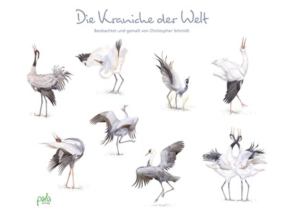 Die Kraniche der Welt, Christopher Schmidt - Gebonden - 9783895664106