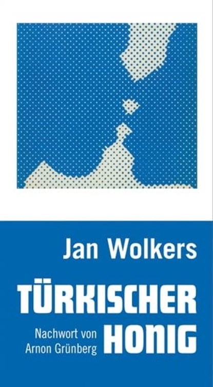 Türkischer Honig, Jan Wolkers ; Onno Blom ; Arnon Grünberg - Ebook - 9783895813146